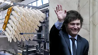 Fábrica de guantes y Javier Milei Fábrica de guantes y Javier Milei