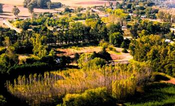 El pueblo del millón de árboles: cómo llegar desde CABA | Escapadas
