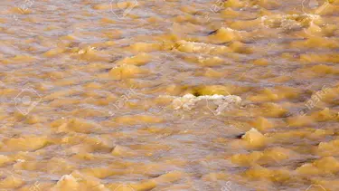 Qué significa soñar con agua clara o agua sucia