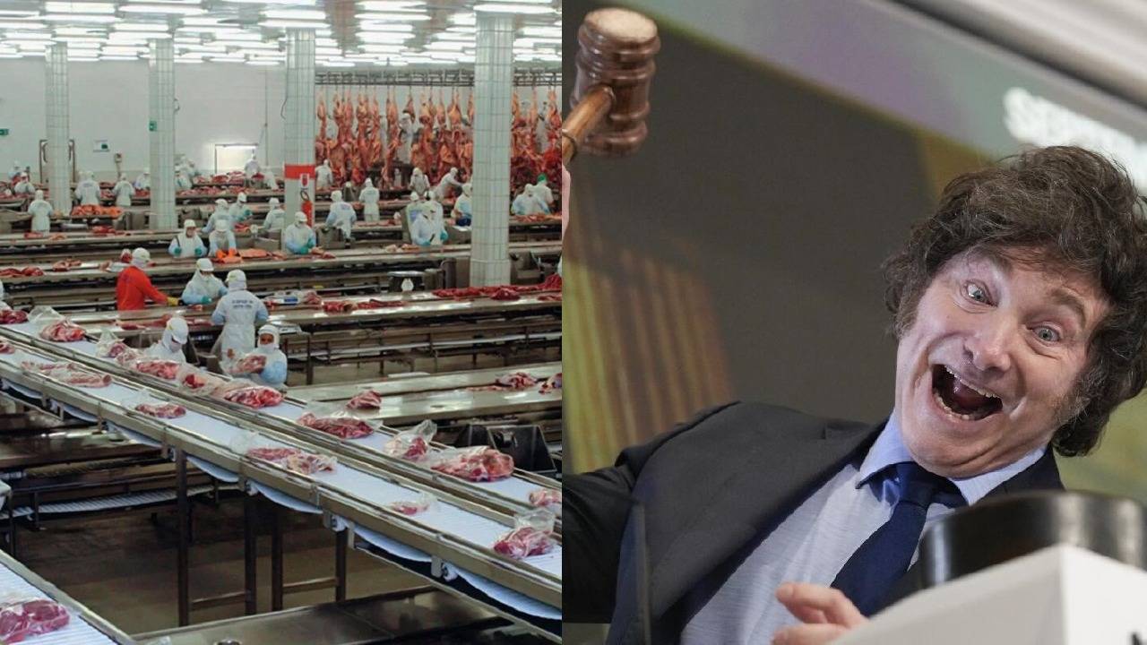 Fábrica alimenticia  y Javier Milei
