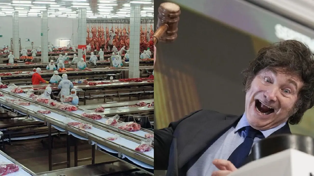 Fábrica alimenticia  y Javier Milei