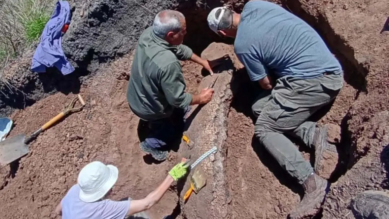 Encontraron un megamamífero de 3,9 millones de años gracias a un trabajador rural en Entre Ríos: el increíble hallazgo arqueológico