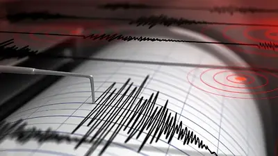 Un sismo sacudió Mendoza: registró una magnitud de 4.6 Un sismo sacudió Mendoza: registró una magnitud de 4.6