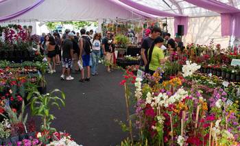 Las 7 Fiestas para recibir la primavera cerca de Buenos Aires | Escapadas