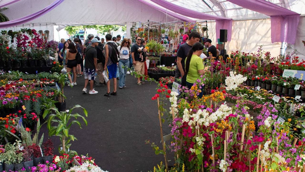 Las 7 Fiestas para recibir la primavera cerca de Buenos Aires