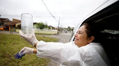 Brasil protegerá a 140 millones de personas del dengue con una superfábrica de mosquitos Brasil protegerá a 140 millones de personas del dengue con una superfábrica de mosquitos