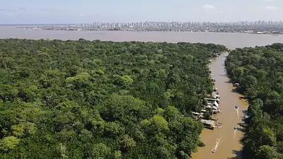 Brasil será el primero en invertir en fondo forestal mundial, según fuentes Brasil será el primero en invertir en fondo forestal mundial, según fuentes