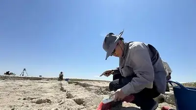 Arqueólogos Turquía Arqueólogos Turquía