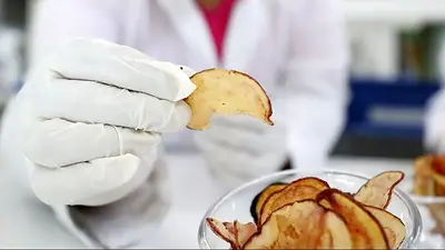 Impacto en la ciencia: un estudio reveló de dónde vino la primera papa Impacto en la ciencia: un estudio reveló de dónde vino la primera papa