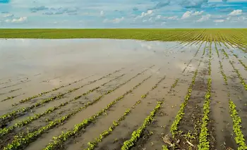 Se viene el "Súper El Niño", la amenaza que tiene en vilo a las economías regionales | El niño