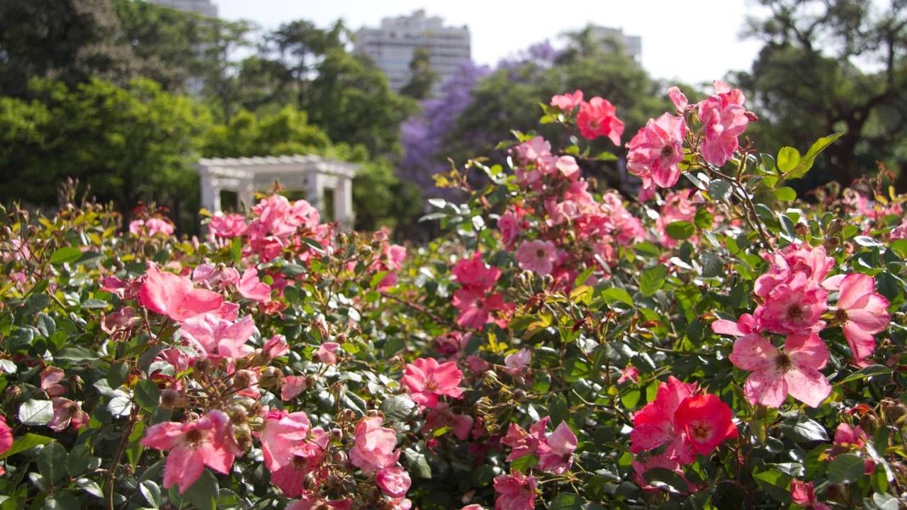 A esta hora empieza la primavera 2025 de manera oficial según el equinoccio