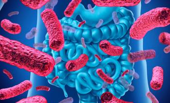 Descubren que bacterias intestinales se comunican directo con las neuronas | Salud