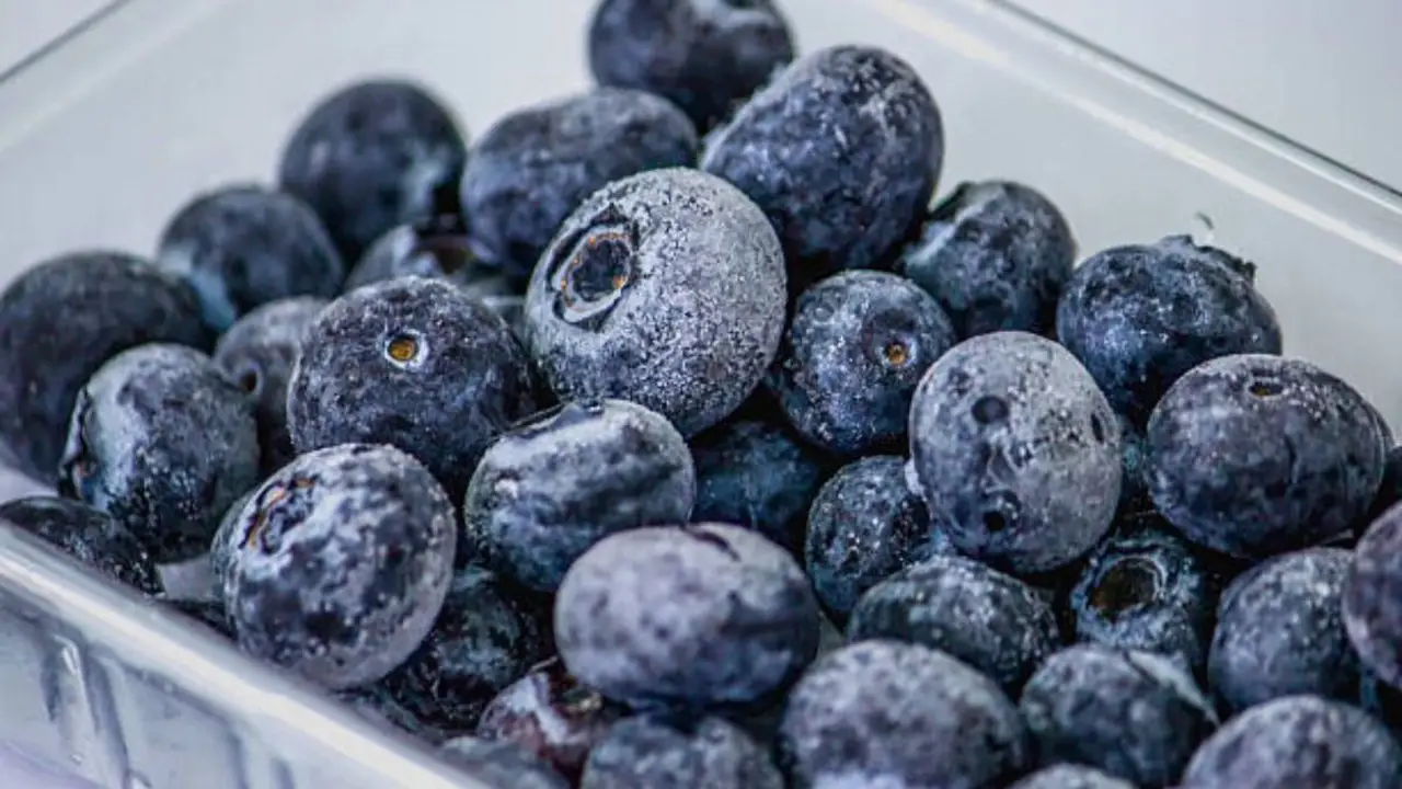 Cómo hacer un snack de arándanos, pasta de maní y harina, perfecto para llevar a todos lados. Snack de arándanos proteicos.