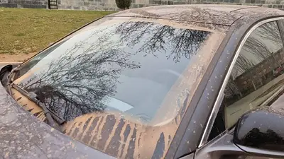 Auto sucio. Auto sucio.