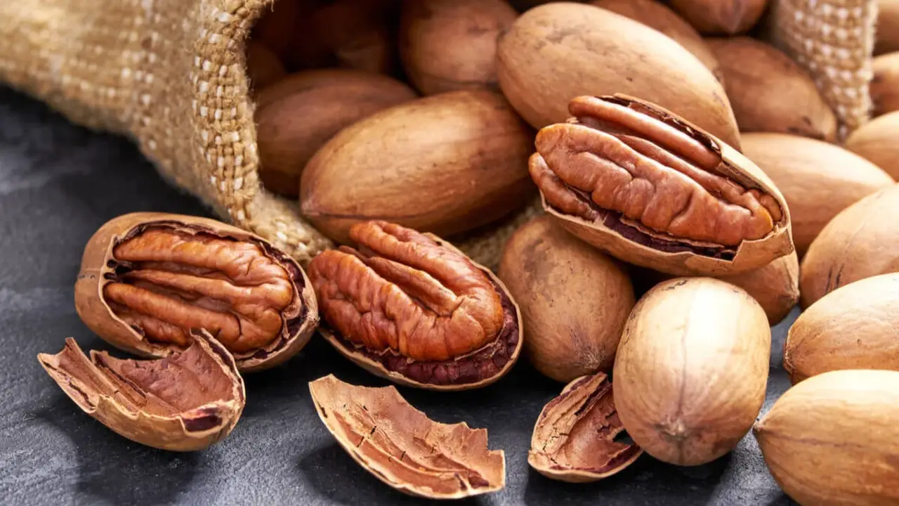 Frutos secos