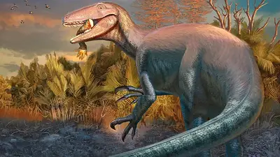 Reconstrucción en vida del nuevo dinosaurio carnívoro Joaquinraptor casali. Ilustración por Andrew McAfee, Reconstrucción en vida del nuevo dinosaurio carnívoro Joaquinraptor casali. Ilustración por Andrew McAfee,