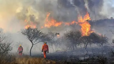 Alerta por riesgo extremo de incendios en Córdoba: "Terminalmente prohibido encender fuego" Alerta por riesgo extremo de incendios en Córdoba: "Terminalmente prohibido encender fuego"
