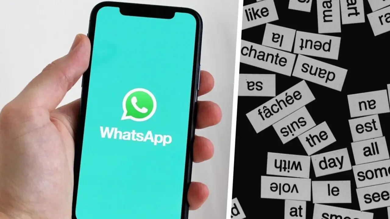 whatsapp nuevo traductor
