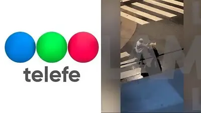 telefe pelea telefe pelea