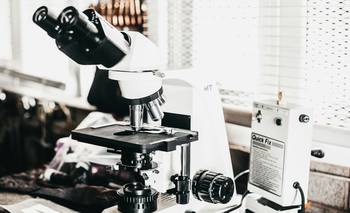 Livagen Peptide: el péptido que promete revolucionar la investigación biológica | Biología molecular