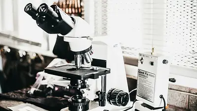 Microscopio utilizado en investigación científica sobre Livagen Peptide Microscopio utilizado en investigación científica sobre Livagen Peptide