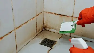 baño con sarro baño con sarro