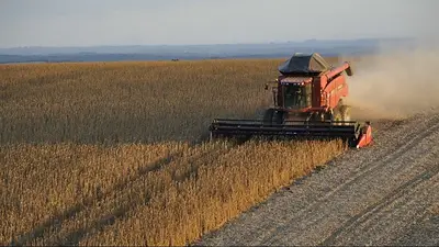 Productores de Córdoba, contra Milei por la vuelta de las retenciones: "Seguimos siendo usados" Productores de Córdoba, contra Milei por la vuelta de las retenciones: "Seguimos siendo usados"