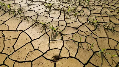 La UE advierte que el cambio climático y la contaminación amenazan los recursos de Europa La UE advierte que el cambio climático y la contaminación amenazan los recursos de Europa