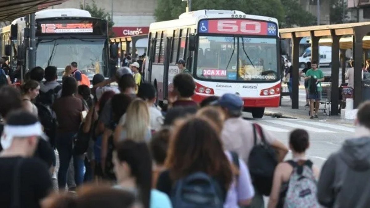 Efecto Milei: se desploma el uso de colectivos en el AMBA | El Destape
