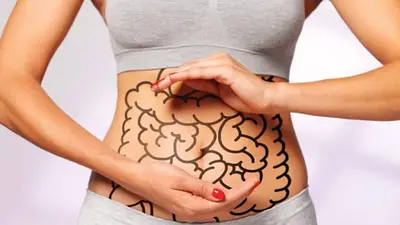 Intestinos. Intestinos.