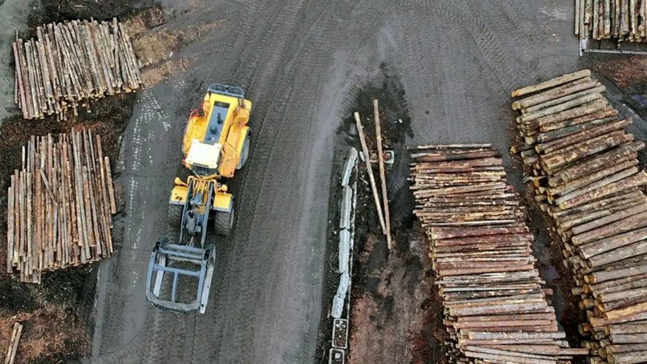 Trump fija un arancel del 10% a las importaciones de madera y del 25% a armarios y muebles