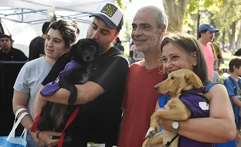 Jornadas de adopción en CABA: fechas, lugares y horarios de septiembre | Ciudad de buenos aires