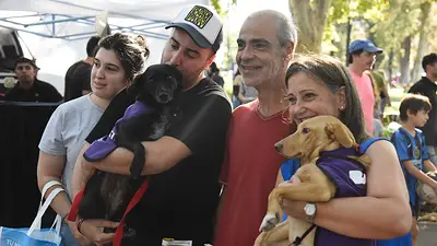 Jornada de adopción en BA. Jornada de adopción en BA.