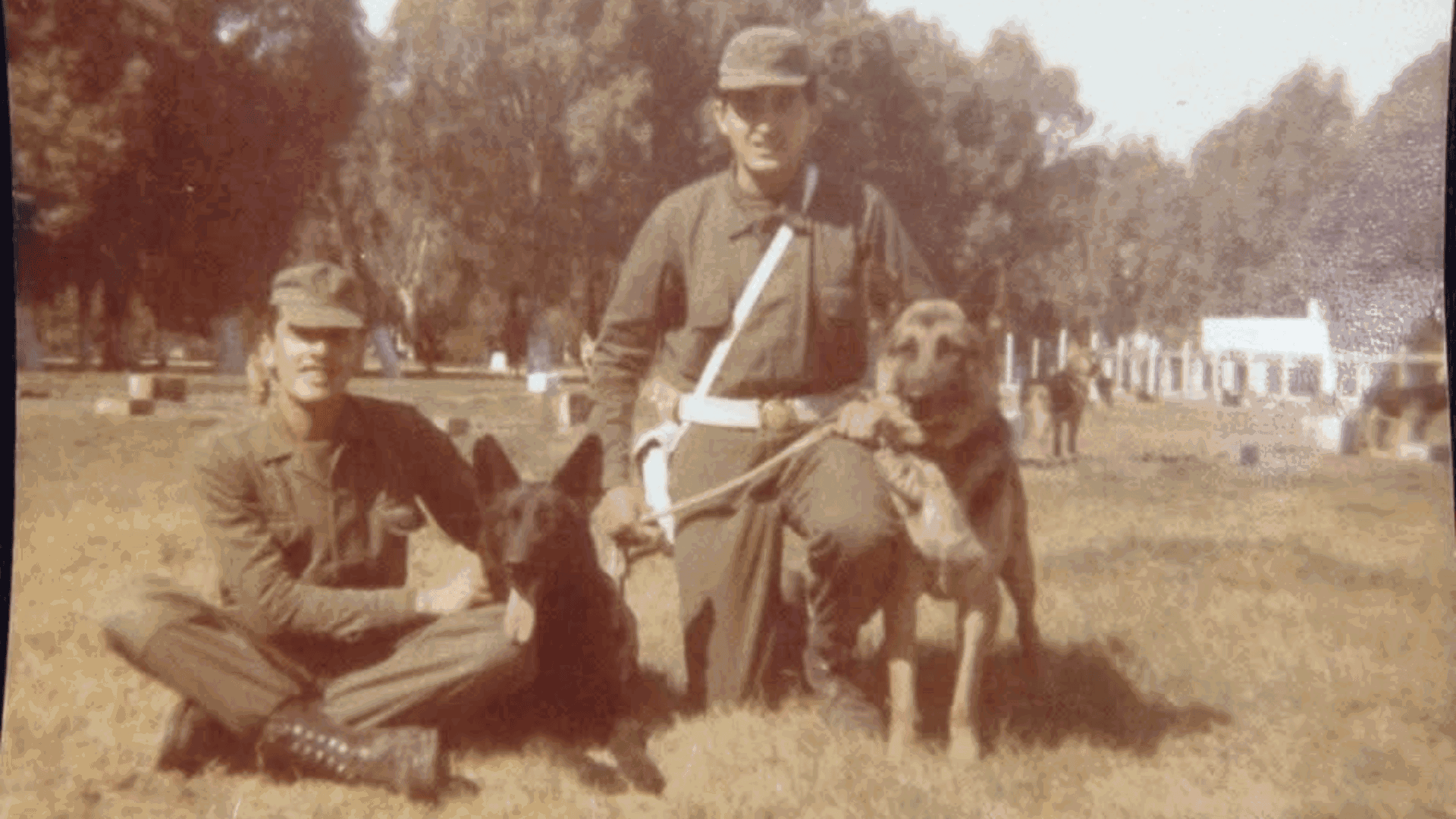 "Si yo lloraba, el perro me secaba las lágrimas”: la desgarradora historia de un veterano de Malvinas que combatió con su ovejero