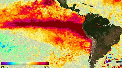 "El evento de El Niño se está volviendo gigantesco": la dura advertencia de la ONU para Sudamérica "El evento de El Niño se está volviendo gigantesco": la dura advertencia de la ONU para Sudamérica