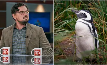 La millonaria compra de Leonardo DiCaprio en Chile para salvar una isla en peligro | Isla