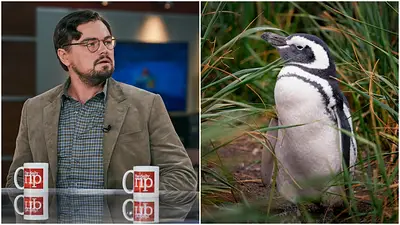 La millonaria compra de Leonardo DiCaprio en Chile para salvar una isla en peligro La millonaria compra de Leonardo DiCaprio en Chile para salvar una isla en peligro