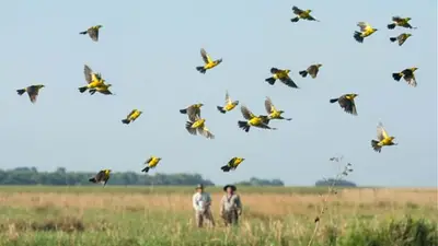 El pueblo escondido de Corrientes que parece salido de otra época: queda cerca del Iberá y tiene una ruta del chamamé El pueblo escondido de Corrientes que parece salido de otra época: queda cerca del Iberá y tiene una ruta del chamamé