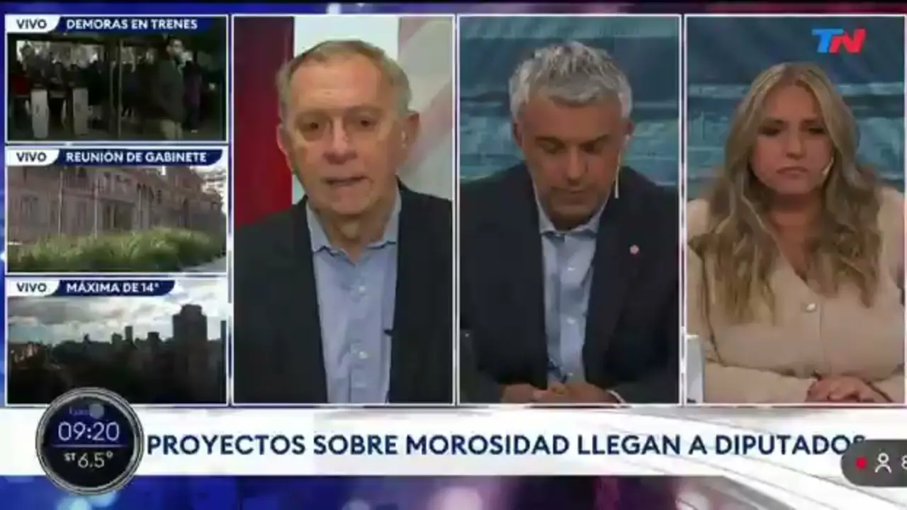 "Una burla": Marcelo Bonelli fulminó a Benegas Lynch en TN por las deudas familiares