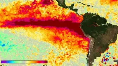 Alerta por el Súper Niño 2026: cuáles son las 8 ciudades donde el Río Paraná puede superar más de un metro el récord histórico Alerta por el Súper Niño 2026: cuáles son las 8 ciudades donde el Río Paraná puede superar más de un metro el récord histórico