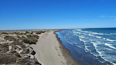 Dónde queda Caleta de los Loros, la costa argentina que revela los secretos del mar cuando baja la marea por su espejo de agua Dónde queda Caleta de los Loros, la costa argentina que revela los secretos del mar cuando baja la marea por su espejo de agua