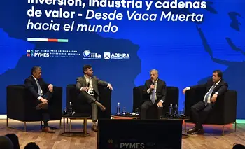 Neuquén, Río Negro y Catamarca, a favor de las sanciones de Milei a petroleras británicas | Islas malvinas