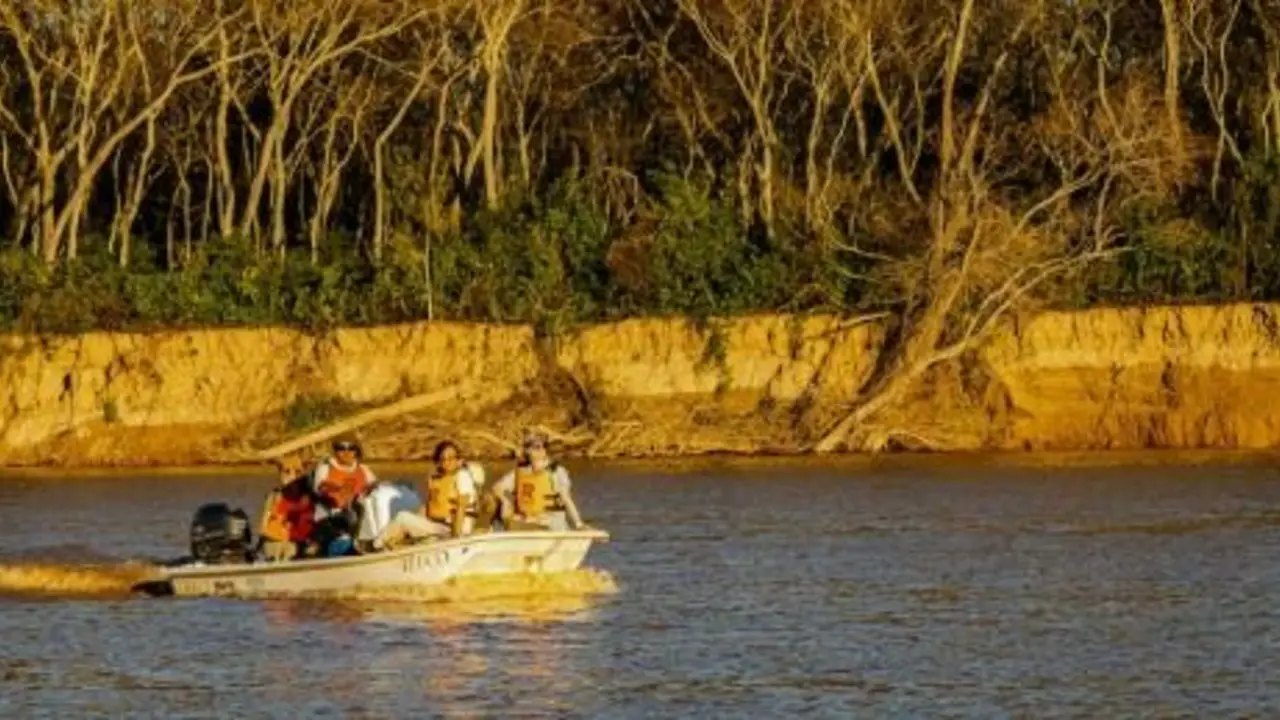 Orgullo nacional: qué lugar argentino superó a las potencias y fue elegido por miles de viajeros por sus safaris y fauna