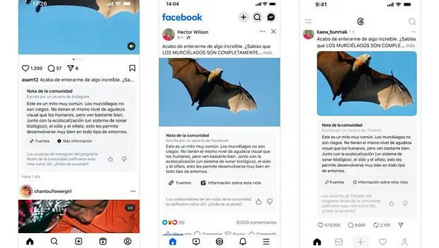 Notas de la Comunidad de Meta llegan a la Argentina | Inteligencia artificial