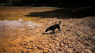 El Niño podría extenderse hasta 2027: las recomendaciones de los científicos para prevenir desastres en las ciudades El Niño podría extenderse hasta 2027: las recomendaciones de los científicos para prevenir desastres en las ciudades