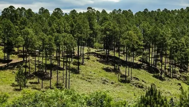 Dónde queda Villa Yacanto, el pueblo argentino de tres cascadas rodeado de bosques soñados | Escapadas