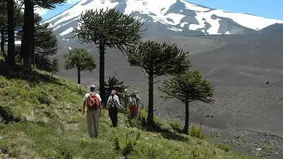 Patagonia Patagonia