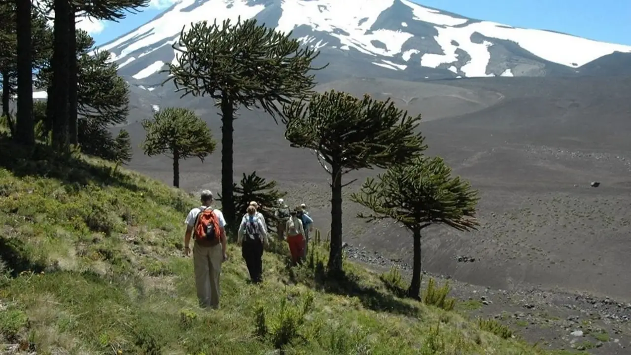 Patagonia