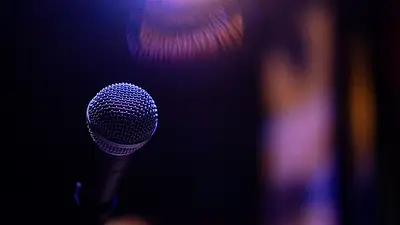 Famosa cantante. Famosa cantante.