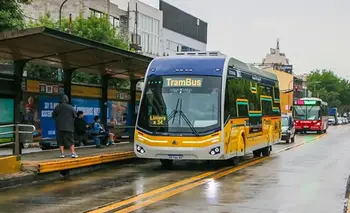 Afecta a 13 líneas de colectivo: el cambio clave que habilitaron sobre avenida Rivadavia | Transporte público